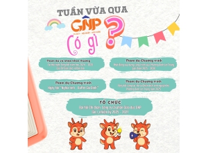 🌟 TUẦN VỪA QUA, GNP CÓ GÌ? 
