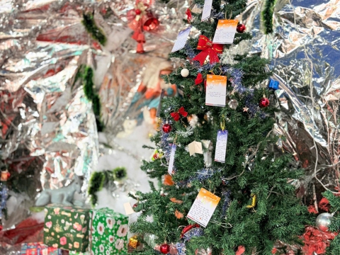 Hình ảnh hoạt động trải nghiệm